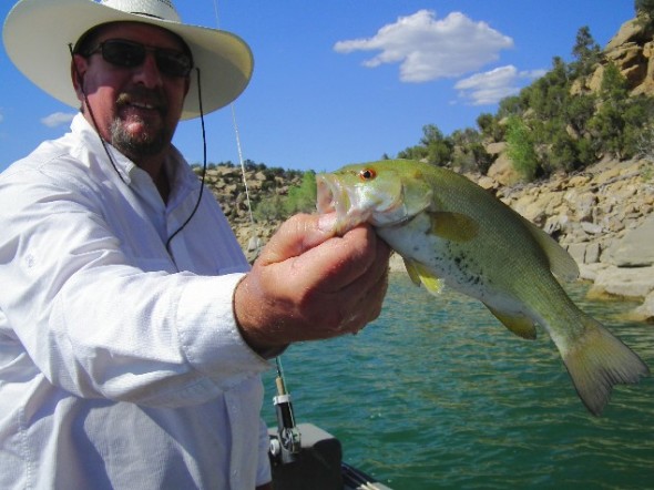 A nice small mouth bass out of Navajo Lake in northwestern New Mexico. 