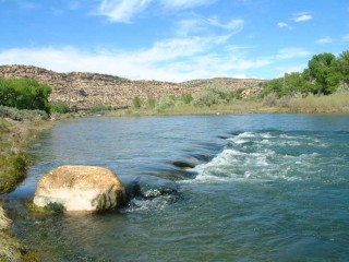 A habitat improvement on the San Juan River.