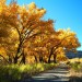 A San Juan Country Road basks in the sunshine of a gorgeous autumn day on the San Juan River in northwestern New Mexico.