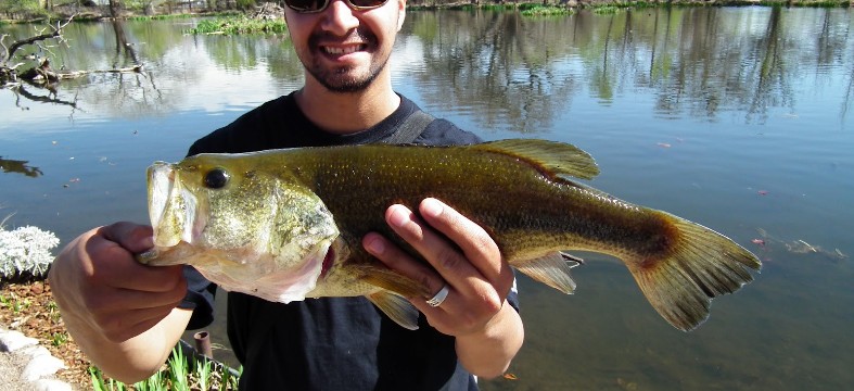 Leo Salcido of Albuquerque, shows of a nice, fat, bigmouth bass he caught at Shady Lakes.