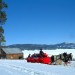 A horse drawn sleigh in the snow at Valles Caldera National Preserve in northern New Mexico.