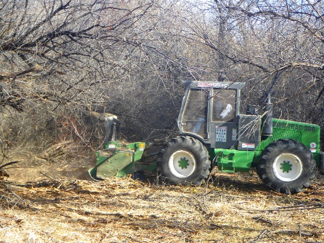 Crews cut a swath through the dense underbrush and trees alongside the San Juan River at the Hammond Tract. Photo courtesy of Marc Wethington.