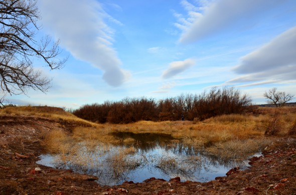 Dry Cimarron River in  northeastern New Mexico.