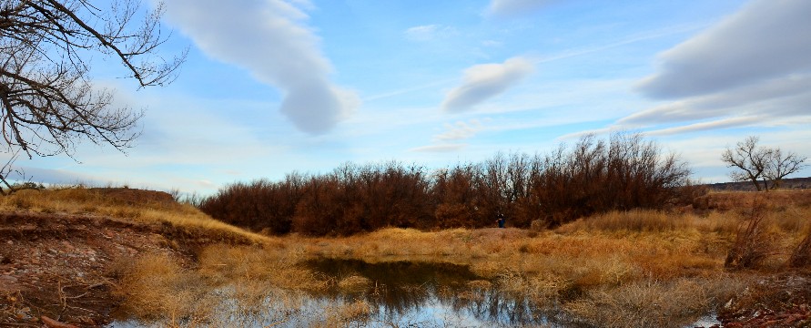 Dry Cimarron River in northeastern New Mexico.